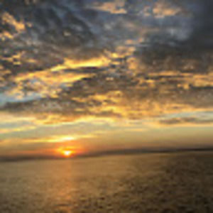 Meet your Posher, Violet